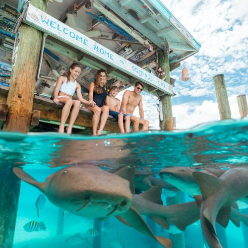 Four people sit on a dock next to a sign reading "Welcome Home." Below, several nurse sharks and fish are visible in the clear blue water.