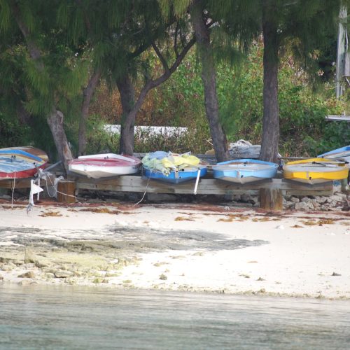 A row of small colorful boats rest on a wooden platform on a sandy beach near trees.