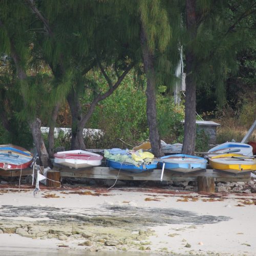 Small boats are lined up on a wooden rack by the beach, surrounded by trees and sand.