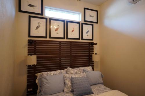 Bedroom with a bed, wooden headboard, and patterned bedding. Six bird illustrations in black frames are hung above the bed. Soft lighting gives the room a cozy feel.